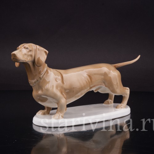Фигурка собаки из фарфора Стоящая такса палевой масти, Rosenthal, Германия, 1915-18 гг.