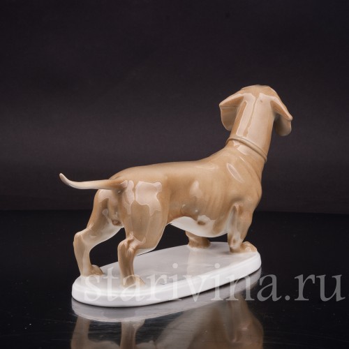 Фигурка собаки из фарфора Стоящая такса палевой масти, Rosenthal, Германия, 1915-18 гг.