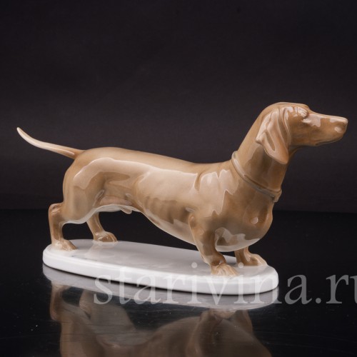 Фигурка собаки из фарфора Стоящая такса палевой масти, Rosenthal, Германия, 1915-18 гг.