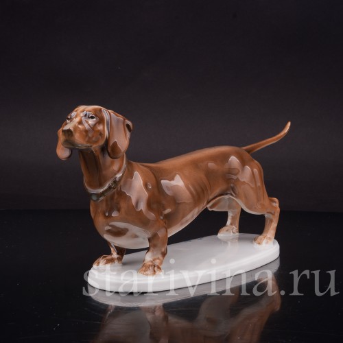 Фигурка собаки из фарфора Стоящая такса коричневой масти, Rosenthal, Германия, 1912-14 гг.