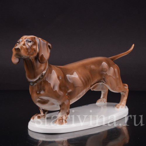 Фигурка собаки из фарфора Стоящая такса коричневой масти, Rosenthal, Германия, 1912-14 гг.