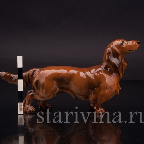 Статуэтка собаки из фарфора Длинношёрстная такса, Hutschenreuther, Германия, 1980 гг.
