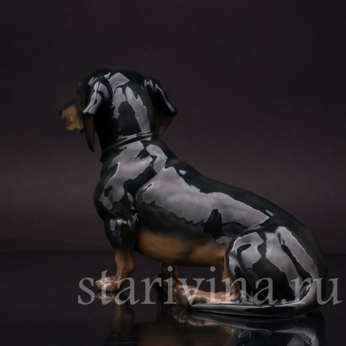 Фарфоровая статуэтка собаки Сидящая такса чёрная, Fraureuth, Германия, нач. 20 в.