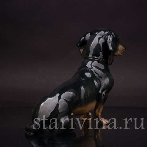 Фарфоровая статуэтка собаки Сидящая такса чёрная, Fraureuth, Германия, нач. 20 в.