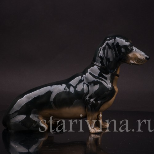 Фарфоровая статуэтка собаки Сидящая такса чёрная, Fraureuth, Германия, нач. 20 в.