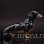 Фарфоровая статуэтка собаки Сидящая такса чёрная, Fraureuth, Германия, нач. 20 в.