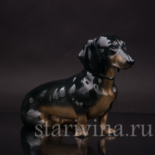 Фарфоровая статуэтка собаки Сидящая такса чёрная, Fraureuth, Германия, нач. 20 в.