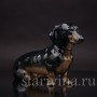 Фарфоровая статуэтка собаки Сидящая такса чёрная, Fraureuth, Германия, нач. 20 в.