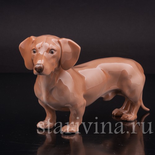 Фигурка собаки из фарфора Стоящая такса, Royal Copenhagen, Дания, 1962-70 гг.