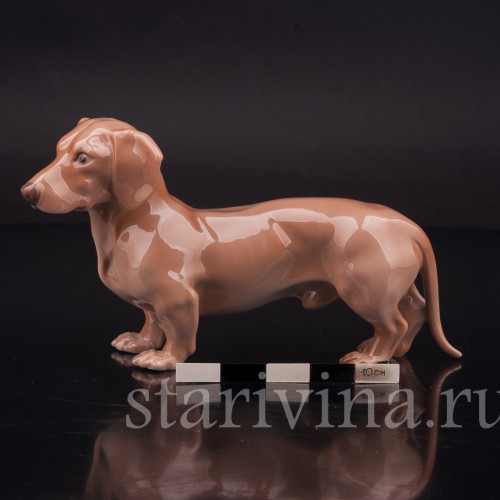 Фигурка собаки из фарфора Стоящая такса, Royal Copenhagen, Дания, 1962-70 гг.