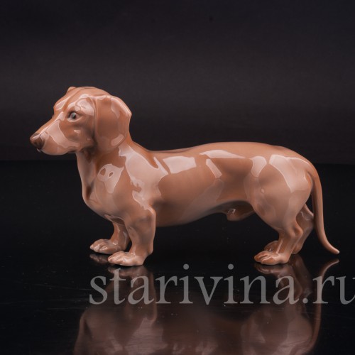 Фигурка собаки из фарфора Стоящая такса, Royal Copenhagen, Дания, 1962-70 гг.