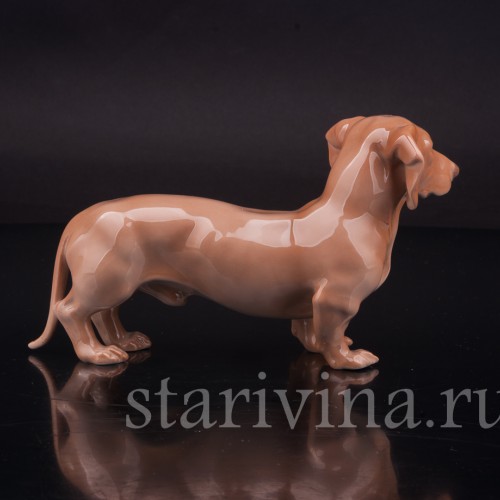 Фигурка собаки из фарфора Стоящая такса, Royal Copenhagen, Дания, 1962-70 гг.