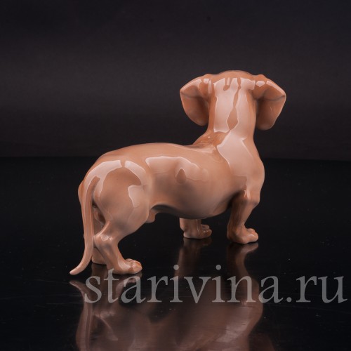 Фигурка собаки из фарфора Стоящая такса, Royal Copenhagen, Дания, 1962-70 гг.