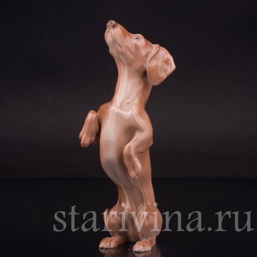 Фарфоровая фигурка собаки Такса-попрошайка, Bing & Grondahl, Дания, 1952-58 гг.