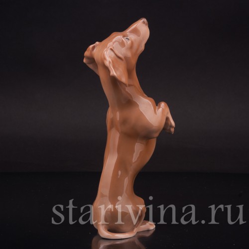 Фарфоровая фигурка собаки Такса-попрошайка, Bing & Grondahl, Дания, 1952-58 гг.