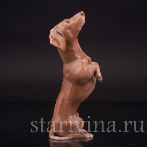 Фарфоровая фигурка собаки Такса-попрошайка, Bing & Grondahl, Дания, 1952-58 гг.