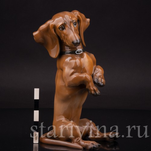 Фарфоровая фигурка собаки Сидящая такса, Rosenthal, Германия, 1970 гг.