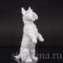 Фигурка собаки из фарфора Скотч терьер, Meissen, Германия, 1956 г.