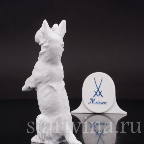 Фигурка собаки из фарфора Скотч терьер, Meissen, Германия, 1956 г.