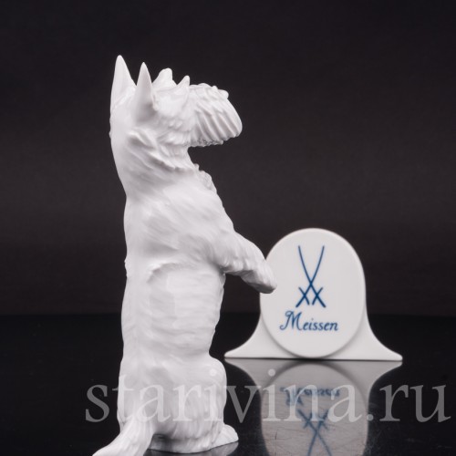 Фигурка собаки из фарфора Скотч терьер, Meissen, Германия, 1956 г.