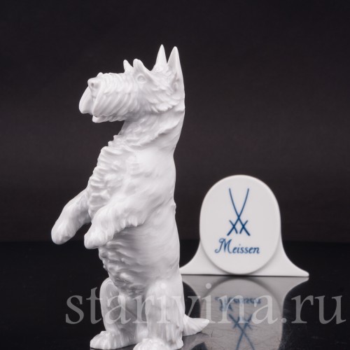 Фигурка собаки из фарфора Скотч терьер, Meissen, Германия, 1956 г.