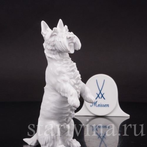 Фигурка собаки из фарфора Скотч терьер, Meissen, Германия, 1956 г.