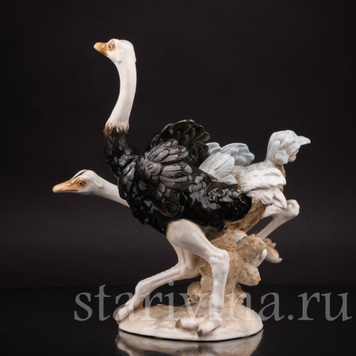 Фигурка птиц из фарфора Два страуса Hutschenreuther, Германия, 1955-68 гг.