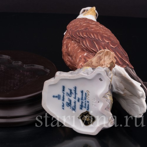 Лысый орёл, Alka Kaiser, Германия