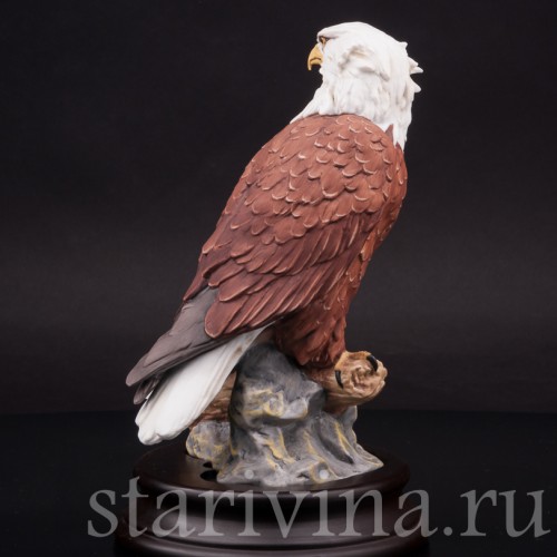 Лысый орёл, Alka Kaiser, Германия