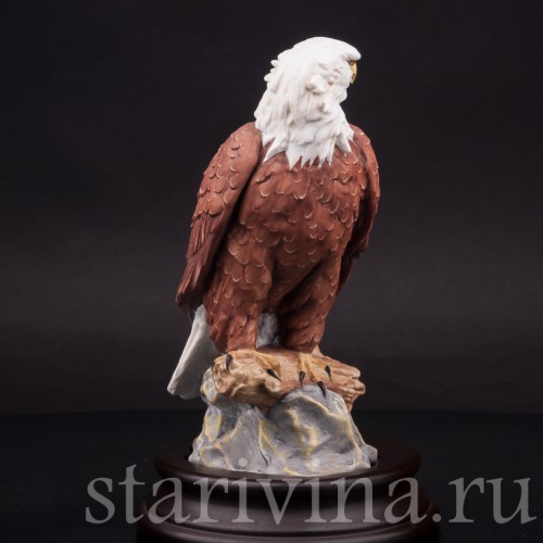 Лысый орёл, Alka Kaiser, Германия