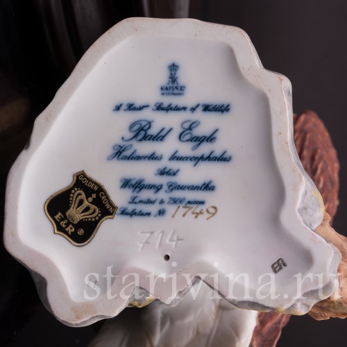 Лысый орёл, Alka Kaiser, Германия