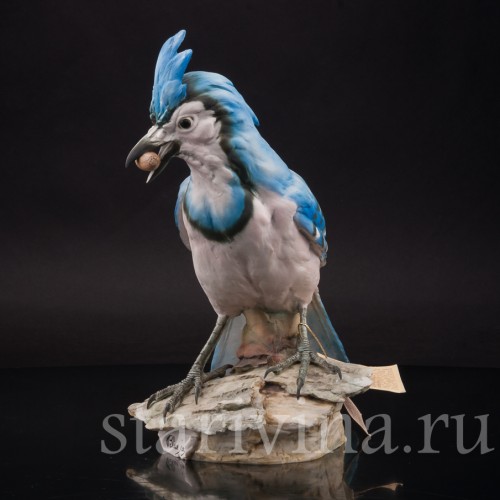 Бисквитная статуэтка птицы Голубая сойка с жёлудем, Tay, Италия, сер. 20 века.