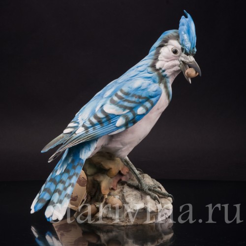 Бисквитная статуэтка птицы Голубая сойка с жёлудем, Tay, Италия, сер. 20 века.