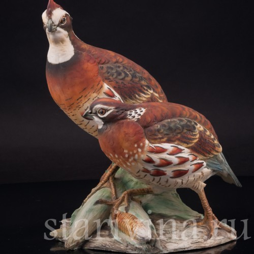 Фарфоровая статуэтка птиц Перепел и перепёлка, Tay, Италия, вт. пол. 20 в.