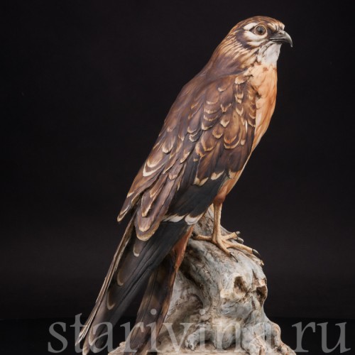 Фарфоровая статуэтка птицы Сокол, Tay, Италия, 1970 г.