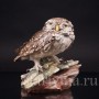 Домовой сычик, Tay, Италия, сер. 20 в