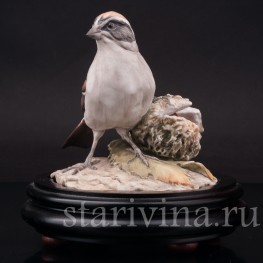 Воробей с каштаном, Alka Kaiser, Германия, сер. 20 в