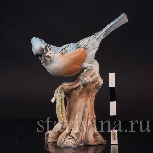 Фигурка птицы из фарфора Хохлатая синица Tay, Италия, сер. 20 в.