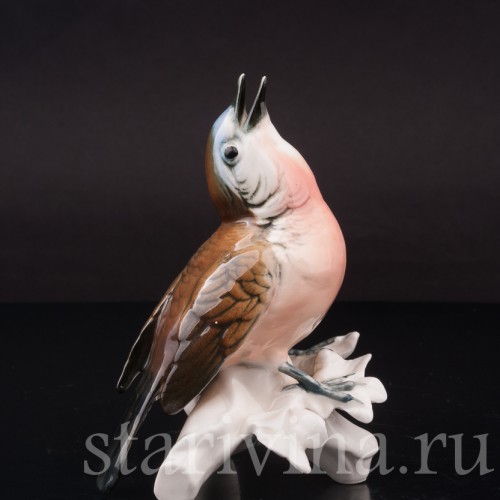 Фигурка птицы из фарфора Поющая малинова Karl Ens, Германия, сер. 20 в.