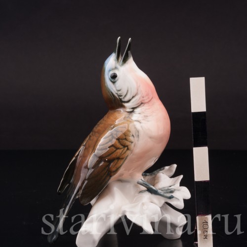 Фигурка птицы из фарфора Поющая малинова Karl Ens, Германия, сер. 20 в.