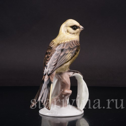 Статуэтка птицы из фарфора Овсянка, Rosenthal, Германия, 1950-60 гг.