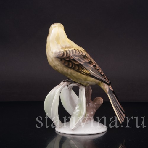 Статуэтка птицы из фарфора Овсянка, Rosenthal, Германия, 1950-60 гг.