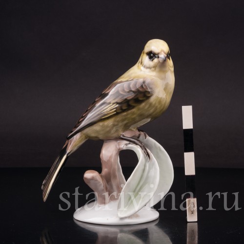 Статуэтка птицы из фарфора Овсянка, Rosenthal, Германия, 1950-60 гг.