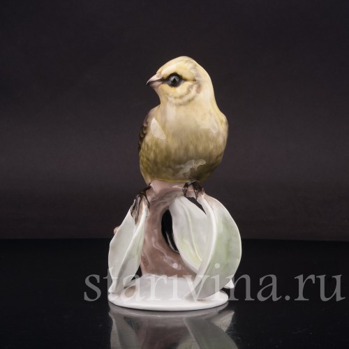 Статуэтка птицы из фарфора Овсянка, Rosenthal, Германия, 1950-60 гг.