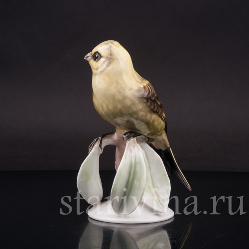Статуэтка птицы из фарфора Овсянка, Rosenthal, Германия, 1950-60 гг.