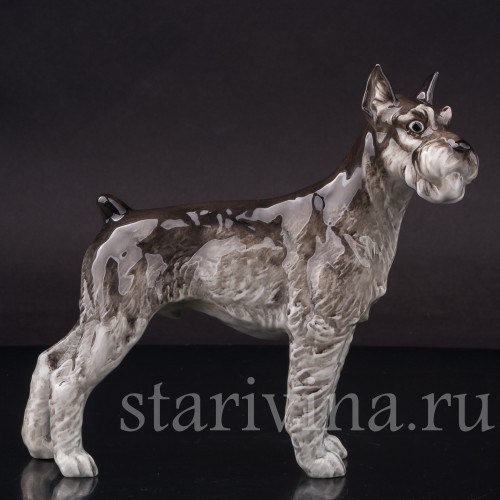 Фарфоровая статуэтка собаки Шнауцер, Hutschenreuther, Германия, 1970е гг.