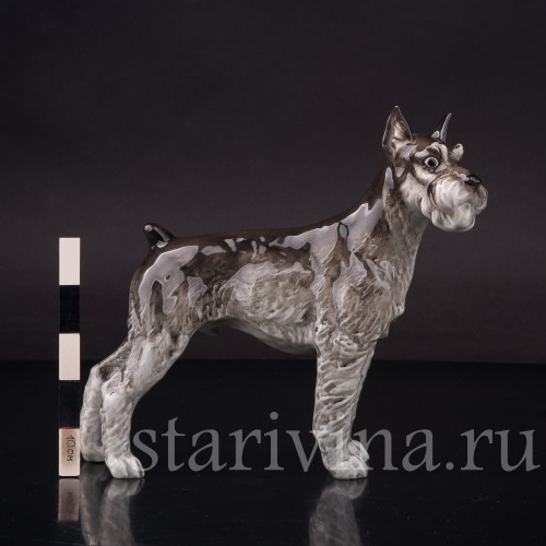 Фарфоровая статуэтка собаки Шнауцер, Hutschenreuther, Германия, 1970е гг.