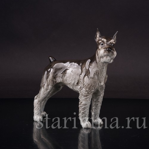 Фарфоровая статуэтка собаки Шнауцер, Hutschenreuther, Германия, 1970е гг.