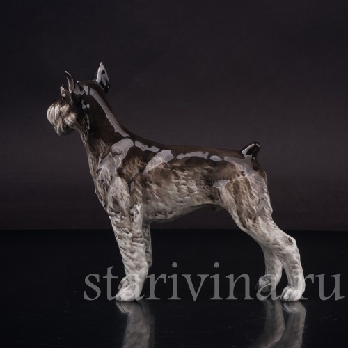 Фарфоровая статуэтка собаки Шнауцер, Hutschenreuther, Германия, 1970е гг.