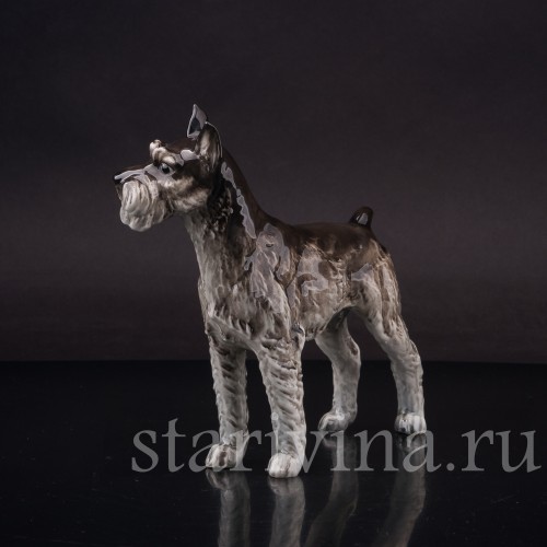 Фарфоровая статуэтка собаки Шнауцер, Hutschenreuther, Германия, 1970е гг.